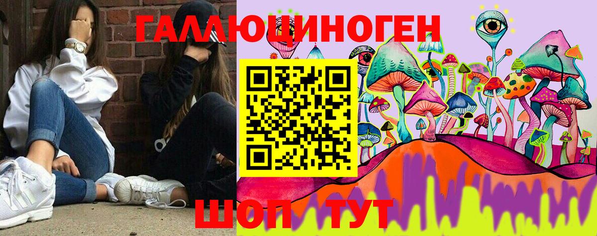 Псилоцибиновые грибы GOLDEN TEACHER  Вход с VPN  Псилоцибиновые грибы MAGIC MUSHROOMS  Вольск 