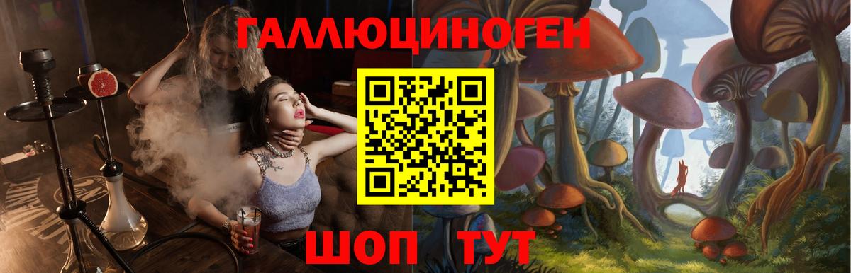 Галлюциногенные грибы Cubensis Вольск